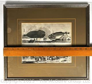 Framed Under Glass Lithograph of Whales.  