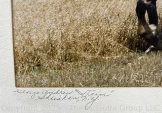 Framed Under Glass Photograph of Farmer Plowing Field with Horses Signed by Elizabeth Rich.<br>

<br><br>

Removal Options:<br><br> Sat (Nov 8) & Sun (Nov 9) 11-3pm, 56 Scotch Hill Rd., Cambridge NY 12816<br><br>

Sat (Nov 15) 12-2pm, TMG Warehouse, 2800 Juniper St., Fairfax, VA 22031<br><br>

Request Shipping (david@themcguiregroupllc.com) 
