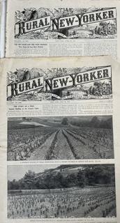 Three (3) Magazine Titles: Hoard's Dairyman, Rural New Yorker and The Epworth Herald circa 1912<br>

<br><br>

Removal Options:<br><br> Sat (Nov 8) & Sun (Nov 9) 11-3pm, 56 Scotch Hill Rd., Cambridge NY 12816<br><br>

Sat (Nov 15) 12-2pm, TMG Warehouse, 2800 Juniper St., Fairfax, VA 22031<br><br>

Request Shipping (david@themcguiregroupllc.com)