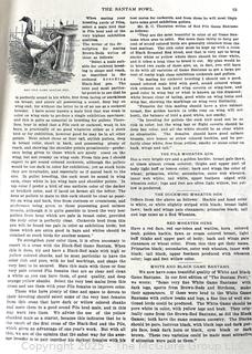 1903 The Bantam Fowl: A Description of All Standard Breeds by T. F. McGrew Book<br>

<br><br>

Removal Options:<br><br> Sat (Nov 8) & Sun (Nov 9) 11-3pm, 56 Scotch Hill Rd., Cambridge NY 12816<br><br>

Sat (Nov 15) 12-2pm, TMG Warehouse, 2800 Juniper St., Fairfax, VA 22031<br><br>

Request Shipping (david@themcguiregroupllc.com)