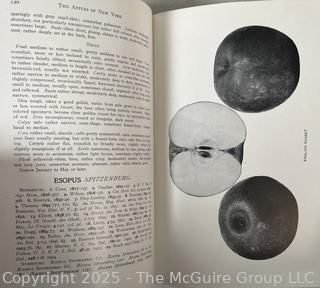 1905 Vol. 1 and Vol. 2 "The Apples of New York" by Beach<br>

<br><br>

Removal Options:<br><br> Sat (Nov 8) & Sun (Nov 9) 11-3pm, 56 Scotch Hill Rd., Cambridge NY 12816<br><br>

Sat (Nov 15) 12-2pm, TMG Warehouse, 2800 Juniper St., Fairfax, VA 22031<br><br>

Request Shipping (david@themcguiregroupllc.com) 