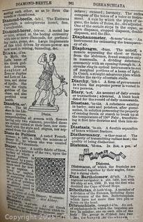 1884 The American Agriculturist Illustrated Family Cyclopedia Book<br>

<br><br>

Removal Options:<br><br> Sat (Nov 8) & Sun (Nov 9) 11-3pm, 56 Scotch Hill Rd., Cambridge NY 12816<br><br>

Sat (Nov 15) 12-2pm, TMG Warehouse, 2800 Juniper St., Fairfax, VA 22031<br><br>

Request Shipping (david@themcguiregroupllc.com)