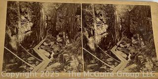 Victorian Stereo Viewer and Cards<br>

<br><br>

Removal Options:<br><br> Sat (Nov 8) & Sun (Nov 9) 11-3pm, 56 Scotch Hill Rd., Cambridge NY 12816<br><br>

Sat (Nov 15) 12-2pm, TMG Warehouse, 2800 Juniper St., Fairfax, VA 22031<br><br>

Request Shipping (david@themcguiregroupllc.com)