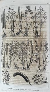 Facts for Farmers Book Edited by Solon Robinson Vol. 1 <br>

<br><br>

Removal Options:<br><br> Sat (Nov 8) & Sun (Nov 9) 11-3pm, 56 Scotch Hill Rd., Cambridge NY 12816<br><br>

Sat (Nov 15) 12-2pm, TMG Warehouse, 2800 Juniper St., Fairfax, VA 22031<br><br>

Request Shipping (david@themcguiregroupllc.com)