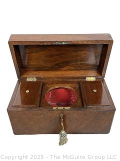 19th Century Sarcophagus Regency Tea Caddy