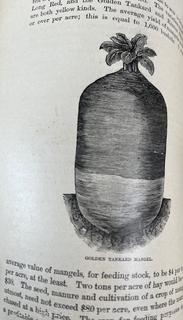 1884 "How the Farm Pays", HC Book by W Crozier & P Henderson Pub USA (Illustrated)