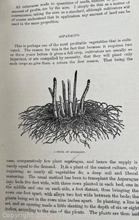 1884 "How the Farm Pays", HC Book by W Crozier & P Henderson Pub USA (Illustrated)