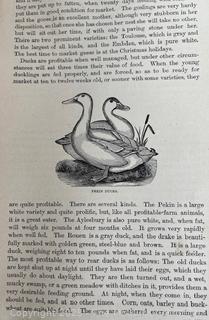 1884 "How the Farm Pays", HC Book by W Crozier & P Henderson Pub USA (Illustrated)