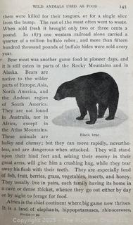 Grouping of Books and Pamphlets on the Subject of Food and Agriculture. Some Illustrated