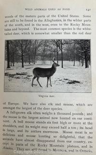 Grouping of Books and Pamphlets on the Subject of Food and Agriculture. Some Illustrated