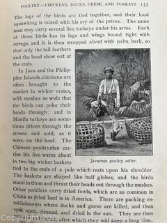 Grouping of Books and Pamphlets on the Subject of Food and Agriculture. Some Illustrated