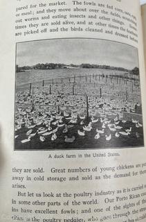 Grouping of Books and Pamphlets on the Subject of Food and Agriculture. Some Illustrated