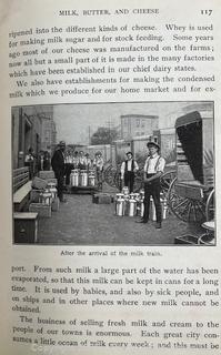 Grouping of Books and Pamphlets on the Subject of Food and Agriculture. Some Illustrated