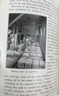 Grouping of Books and Pamphlets on the Subject of Food and Agriculture. Some Illustrated