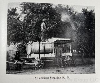 Grouping of Books and Pamphlets on the Subject of Food and Agriculture. Some Illustrated