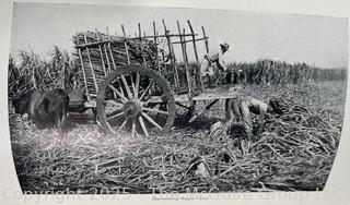 Grouping of Books and Pamphlets on the Subject of Food and Agriculture. Some Illustrated