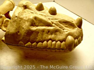 Vintage Toys:  Masters of the Universe (MOTU): "Battle Bones" Figure Carrier