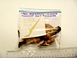 Vintage Toys: JOHN BLACKSTAR Action Figure and Weapons