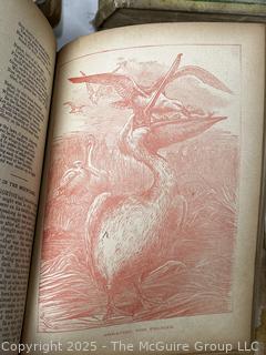 Three (3) Antique Children's Books Including Merry Moments.