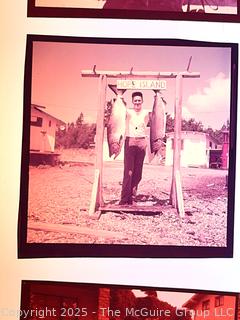 Eight (8) Color Slides
