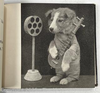 Seven Vintage Children's Books Including Tippity-Flippitts by Edith B. Davidson 