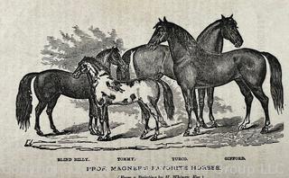 Book Titled The New System of Educating Horses by D. Magner, Rouses Point NY. Illustrated 1871