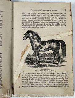 Book Titled The New System of Educating Horses by D. Magner, Rouses Point NY. Illustrated 1871