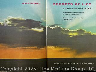 ???? mix up with 0954