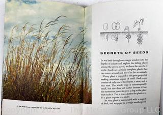 ???? mix up with 0954