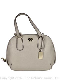 Coach Grey Birch Prince Street Mini Satchel, New with Tag, Small Stain