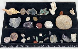 Collection of Rocks, Fossils and Shells