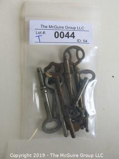 Collectable: Collection of twelve (12) Skeleton Keys