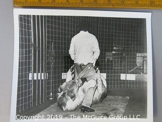 Collectable: Photo: Circus: 8 x 10" B&W of Lion and "Tamer" Look closely