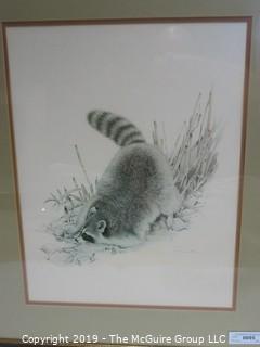 Art: Collectible: 22 x 27" Framed Under Glass Original Artist's Print of Raccoon 