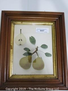 Art: Historic: 12 x 14" Fruit (Pears) Print under glass in Ogee Wood Frame