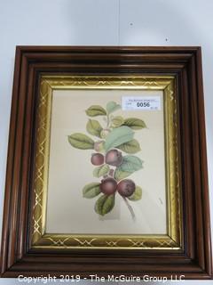 Art: Historic: 12 x 14 Framed Under Glass Fruit (Figs) Lithograph in Ogee Wood Frame 