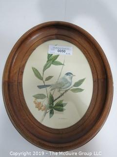 Art: Historic: Birds: 12 x 14 Oval Framed Under Glass Ornithological Colored Lithograph; Chickadee by A. Marlin 