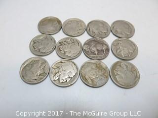 (29) Buffalo Nickels 