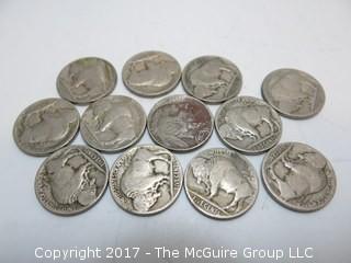 (29) Buffalo Nickels 