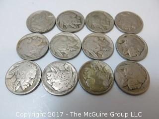 (29) Buffalo Nickels 