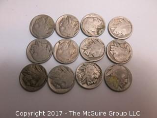 (29) Buffalo Nickels 