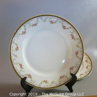 Haviland Limoges Ivory China x3 "Spa" pattern