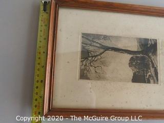 Framed Signed Lithograph of Tree 