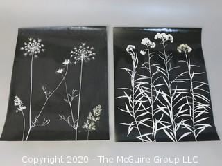 Set of Six Large Format Black & White Photos of Flora & Fauna.