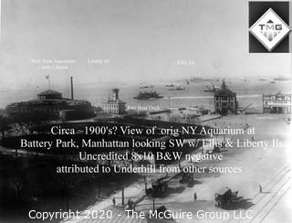 8 x 10" Film Negative; Irving Underhill; Battery Park  New York City (0007A)