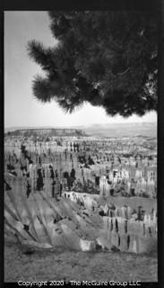 2 1/2 x 4 1/4" Film Negative Vintage: Americana: Western Grand Tour:badlands w pine