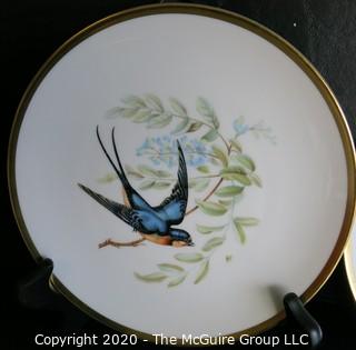 Set 8 Porcelain Plates Based on Audubon Drawings of Bird.  Made by Hutschenreuther Selb LHS in Germany for Pasco.  Measure approximately 8".