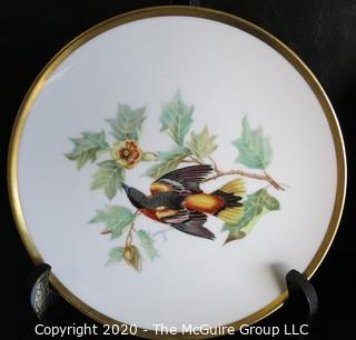 Set 8 Porcelain Plates Based on Audubon Drawings of Bird.  Made by Hutschenreuther Selb LHS in Germany for Pasco.  Measure approximately 8".