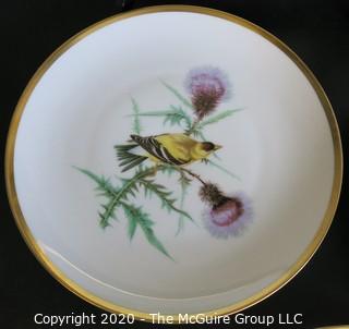 Set 8 Porcelain Plates Based on Audubon Drawings of Bird.  Made by Hutschenreuther Selb LHS in Germany for Pasco.  Measure approximately 8".