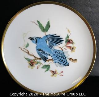 Set 8 Porcelain Plates Based on Audubon Drawings of Bird.  Made by Hutschenreuther Selb LHS in Germany for Pasco.  Measure approximately 8".